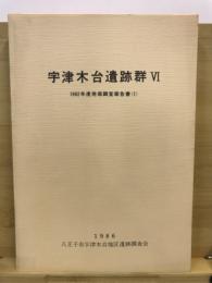 宇津木台遺跡群 : 発掘調査報告書