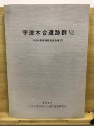 宇津木台遺跡群 : 発掘調査報告書