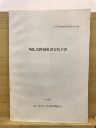 城山遺跡発掘調査報告書