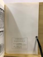 城山遺跡発掘調査報告書