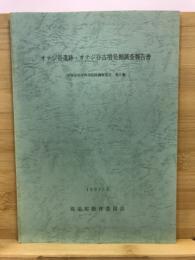 オテジ谷遺跡・オテジ谷古墳発掘調査報告書