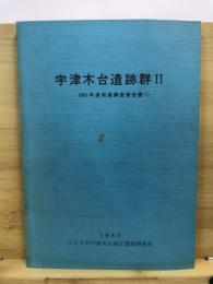 宇津木台遺跡群 : 発掘調査報告書