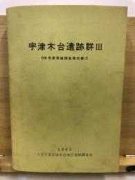 宇津木台遺跡群 : 発掘調査報告書