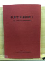 宇津木台遺跡群 : 発掘調査報告書