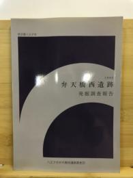 弁天橋西遺跡 : 発掘調査報告