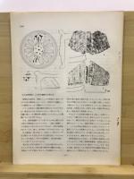 静岡県考古学研究