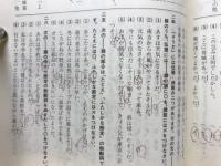 読解・表現のための新編中等国文法