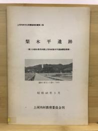 梨木平遺跡 : 栃木県河内郡上河内村梨木平遺跡調査概報