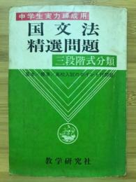 国文法精選問題　三段階式分類