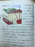 小学校新理科　6年1