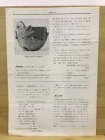 船橋考古