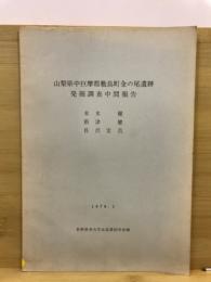 山梨県中巨摩郡敷島町金の尾遺跡発掘調査報告書