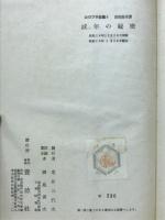 成年の秘密