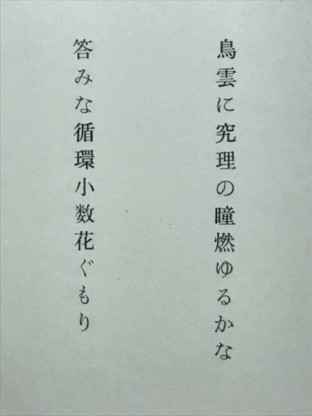 誘蛾燈 初期俳句作品集(畠山弘) / 古本倶楽部株式会社 / 古本