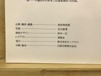 湖国の十一面観音 : 一千年秘められた佛との出逢い