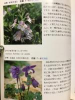 Alpine flowers : 六甲高山植物園ガイドブック