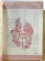 秦・始皇帝