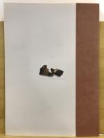 軍隊と豊橋展