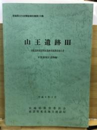 山王遺跡 : 仙塩道路建設関係遺跡発掘調査報告書