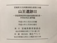 山王遺跡 : 仙塩道路建設関係遺跡発掘調査報告書