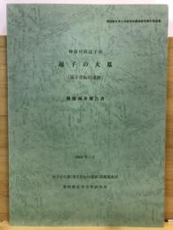 東国歴史考古学研究所調査研究報告