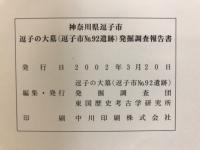 東国歴史考古学研究所調査研究報告
