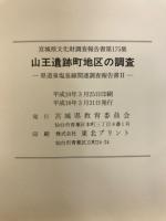 山王遺跡町地区の調査