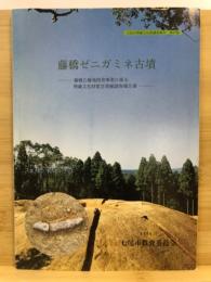 藤橋ゼニガミネ古墳 : 藤橋丘陵地開発事業に係る埋蔵文化財緊急発掘調査報告書