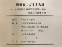 藤橋ゼニガミネ古墳 : 藤橋丘陵地開発事業に係る埋蔵文化財緊急発掘調査報告書