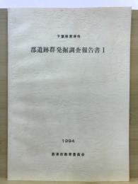 郡遺跡群発掘調査報告書