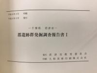郡遺跡群発掘調査報告書