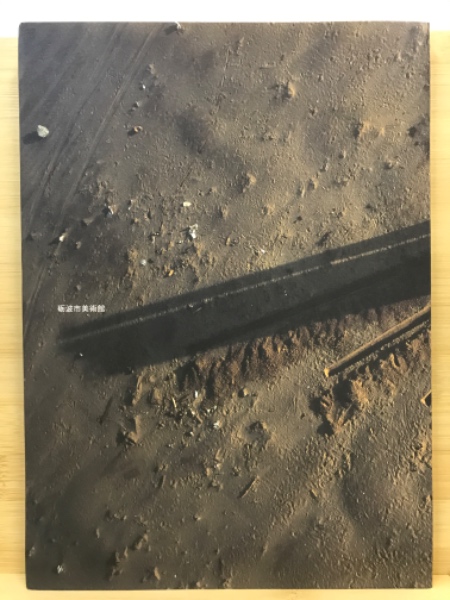 岩城信嘉展 : N291 Iwaki(砺波市美術館編) / 古本、中古本、古書籍の