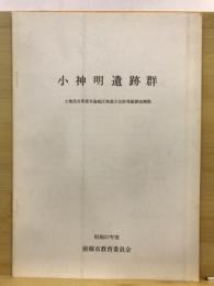 小神明遺跡群 : 土地改良事業実施地区埋蔵文化財発掘調査概報