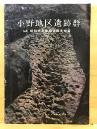 小野地区遺跡群 : C4 昭和55年度発掘調査概報