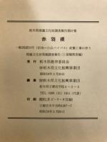 赤羽根 : 一般国道50号(岩舟〜小山バイパス)改築工事に伴う埋蔵文化財発掘調査報告