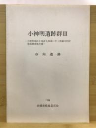 小神明遺跡群 : 小神明地区土地改良事業に伴う埋蔵文化財発掘調査報告書