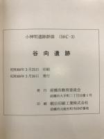 小神明遺跡群 : 小神明地区土地改良事業に伴う埋蔵文化財発掘調査報告書