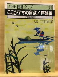 ここがアマの盲点！序盤編　別冊囲碁クラブ