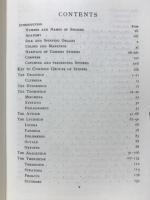 THE COMMON SPIDERS OF THE UNITED STATES