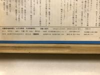 太平洋戦争日本軍艦戦記