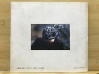 The Earth　吉本光郎写真集　(Beebooks)