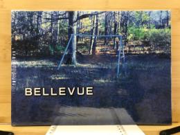 BELLEVUE - LANDSCAPE PHOTOGRAPHS