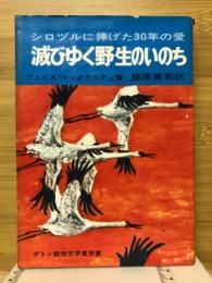 滅びゆく野生のいのち : シロヅルに捧げた30年の愛