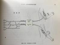 整形外科医のための神経学図説 : 脊髄・神経根障害レベルのみかた,おぼえかた