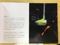 滴る金属　鋳物工房写真集