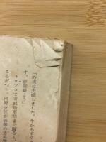 鶺鴒の巣　昭和名作選集3