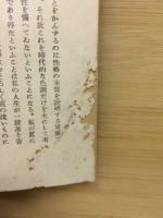 鶺鴒の巣　昭和名作選集3