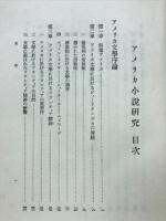 アメリカ小説研究