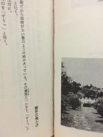 海外武勇列伝　明治奇談