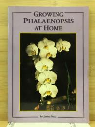 Growing Phalaenopsis At Home
